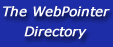 Business Promotion at WebPointer
